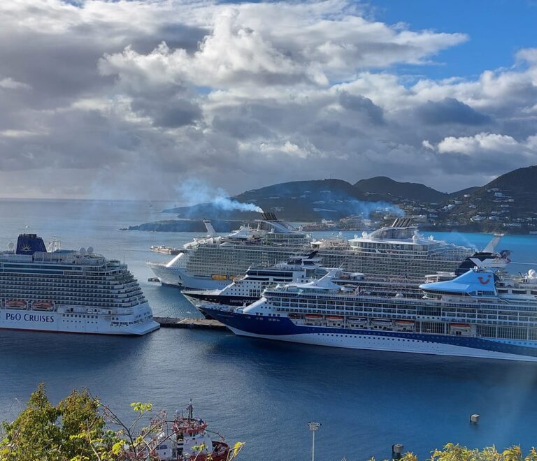 Cruise Port Panorama